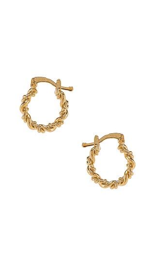 Mini Capri Hoops in Gold | Revolve Clothing (Global)