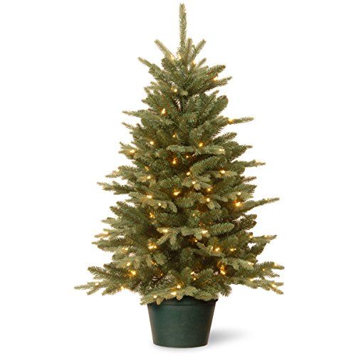 National Tree Company Artificial Christmas Tree For Entrances | Includes White Lights and Pot | E... | Amazon (US)