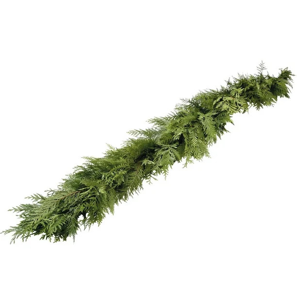Van Zyverden Live Fresh Cut Pacific Northwest Cedar Mix 10 Foot Coil Holiday Garland - Walmart.co... | Walmart (US)