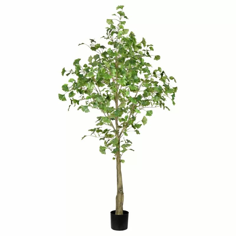 Artificial Ginkgo Tree in Pot | Wayfair North America