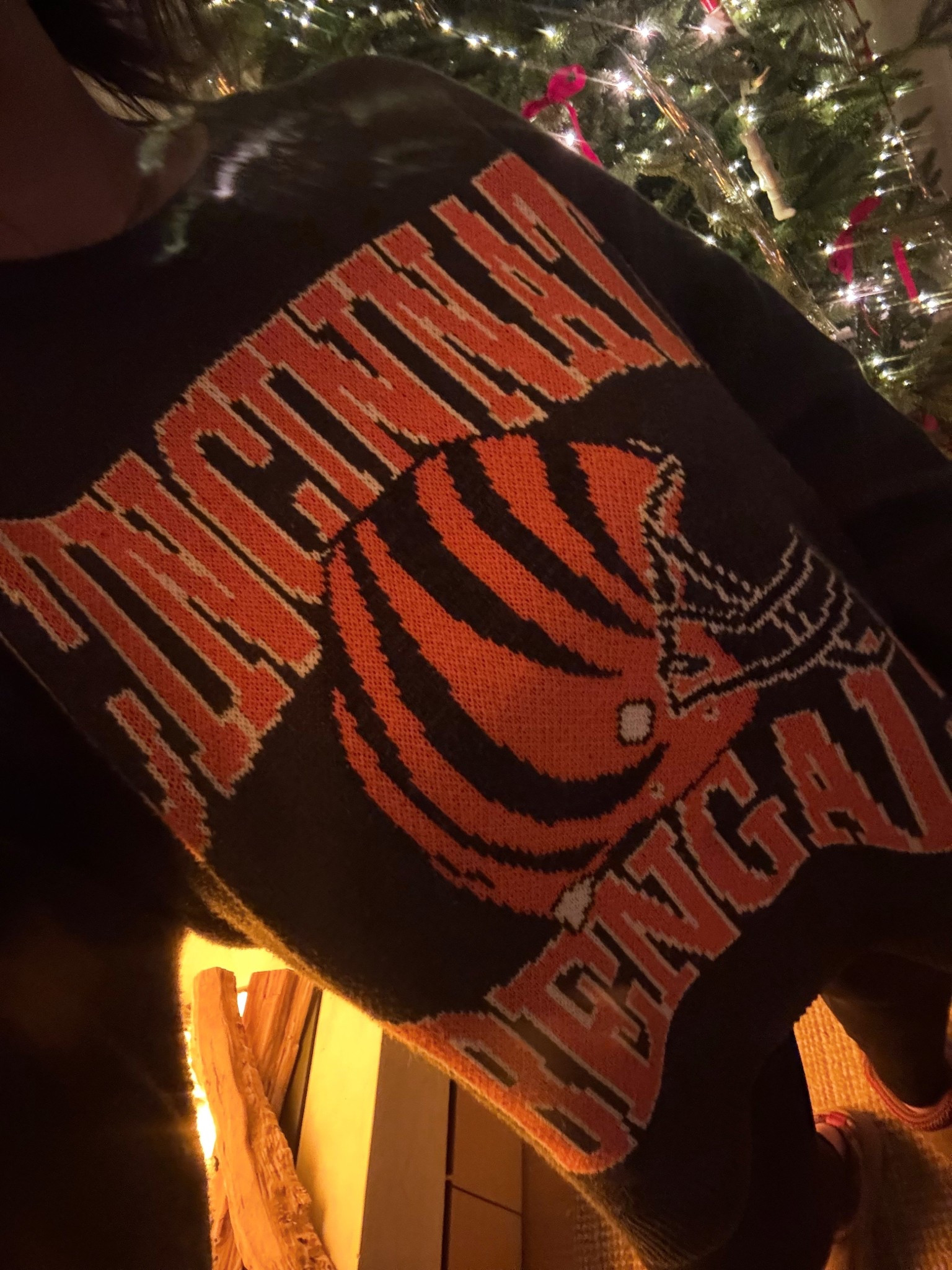 Abercrombie NFL Football Team knit sweaters. They have 17 different teams available. Click the link to find your team

#LTKootd #LTKGiftGuide #LTKStyleTip