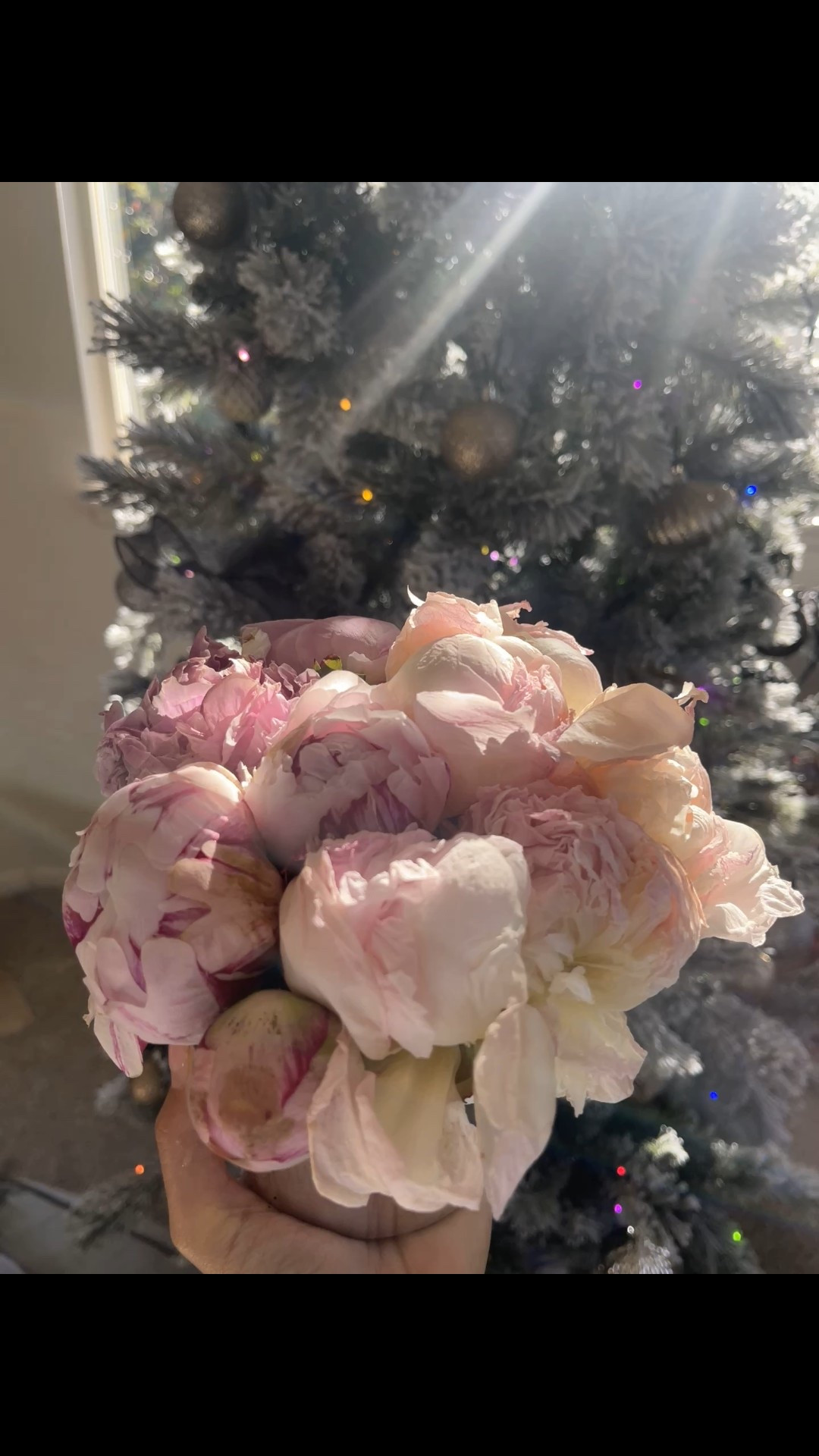 Soft, romantic, and timeless 🌸
Get your hands on these beautiful peonies by visiting your local Whole Foods Market or shop online and place a pickup order for easy convenience. The perfect floral touch for your home, table styling, or everyday aesthetic — simple, elegant, and always in season 🤍

I linked them on LTK so you can shop or plan your pickup effortlessly. Save this for floral inspo & tap to shop ✨

#LTKHome #LTKFinds #LTKDecor #LTKSeasonal #LTKAesthetic #FloralDecor #Peonies #FreshFlowers #HomeStyling #TableDecor #SimpleLuxuries #EverydayAesthetic #NeutralHome #RomanticDecor #WholeFoodsFinds #HomeInspo #LTKHomeDecor

#LTKSeasonal #LTKmomlife #LTKdayinmylife