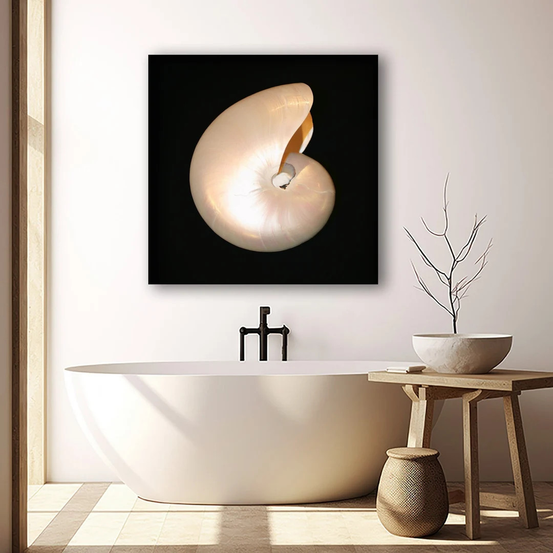 Nautilus Wall Art, Nautilus Shell Art, Black & Beige Beach Decor, Ocean Art, Seashell Art, Coasta... | Etsy (US)