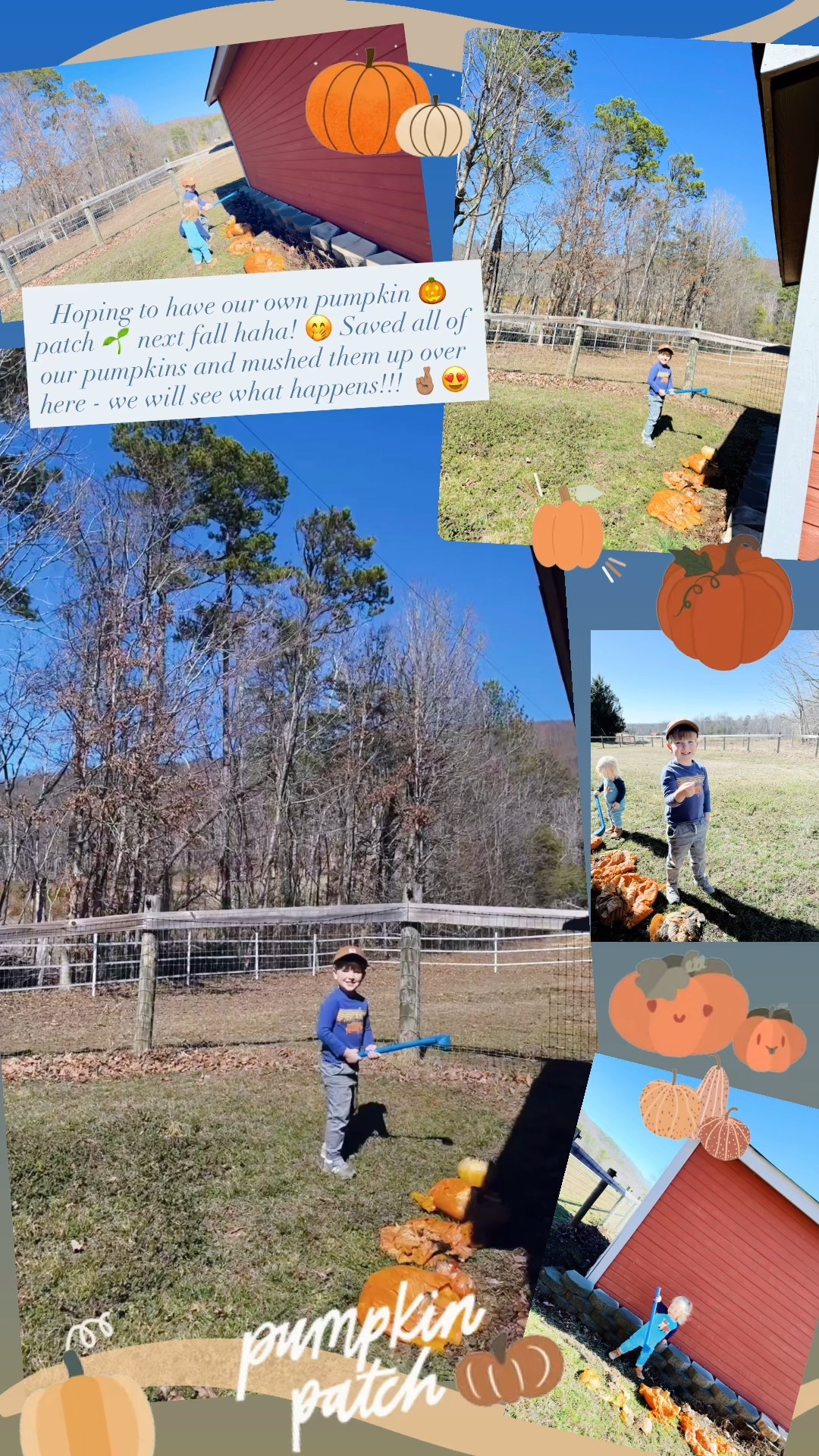 Hoping to have our own mini pumpkin 🎃 patch 🌱 next fall here on the farm haha! 🤭 Saved all of our pumpkins and mushed them up over here - we will see what happens!!! 🤞🏽😍 