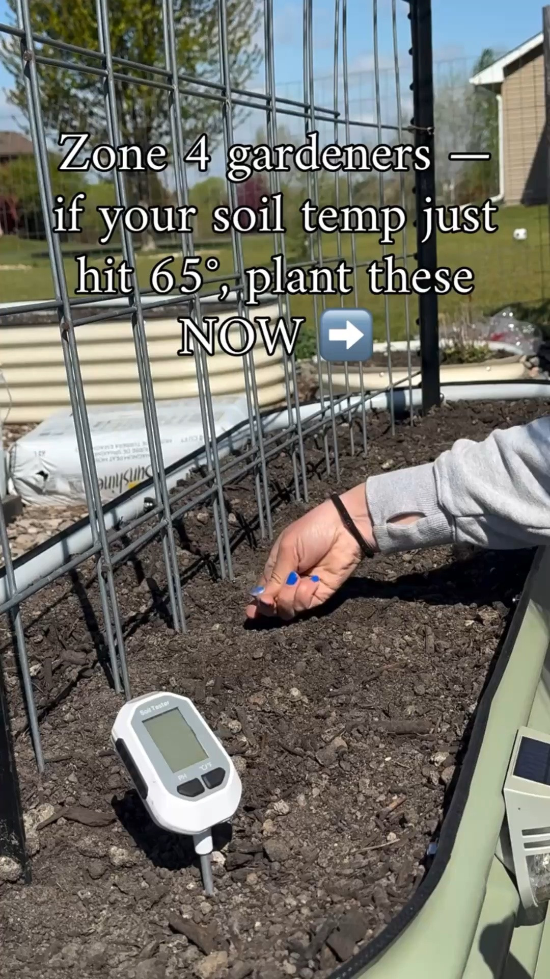 At 65°F soil temp your garden is officially in the “go time” window for a lot of warm-season planting 🌱

You can safely direct sow:

* Beans (bush + pole)
* Sweet corn
* Cucumbers
* Summer squash & zucchini
* Pumpkins
* Melons (if you want to try)
* Sunflowers
* Nasturtiums
* Basil
* Dill
* More carrots/beets for succession planting
* Swiss chard

You can transplant out (if hardened off):

* Tomatoes (cover if nights dip below ~45)
* Peppers (better if nights stay 50+ — they sulk in cold soil)
* Marigolds
* Cosmos
* Zinnias
* Snapdragons
* Alyssum
* Brassicas (broccoli, cabbage, Brussels, kale)
* Onions/leeks

Happy planting!