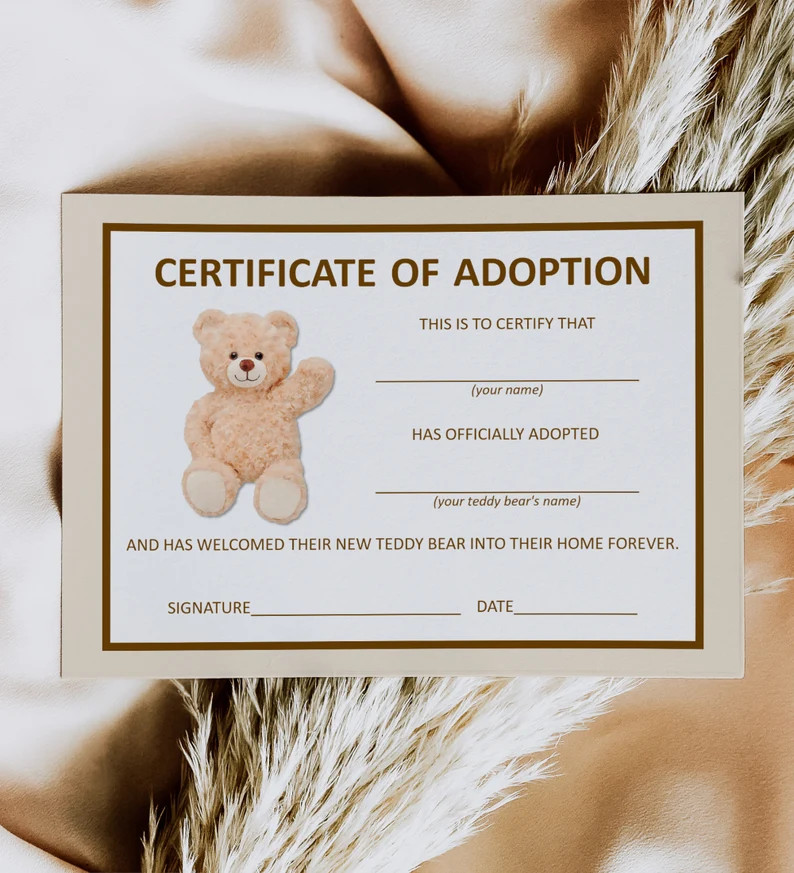 Adopt a Teddy Bear Adoption Certificate Teddy Bear Birthday Hot Air Balloon Bear Baby Shower Bear... | Etsy (US)