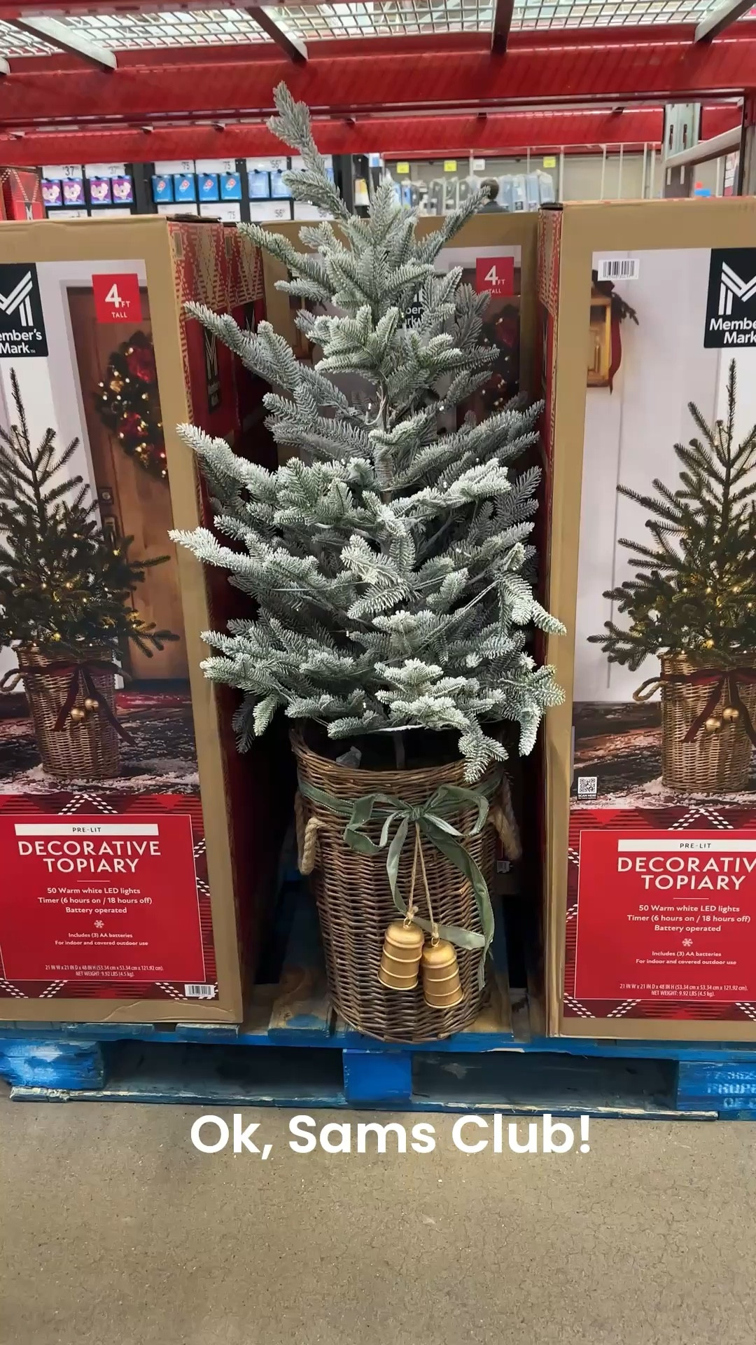 Ok, Sam’s Club! This little tree is perfect for a porch or next to your fireplace. There is a flocked and non flocked version. Bring on all the Christmas Decor!


#LTKSeasonal #LTKHome
