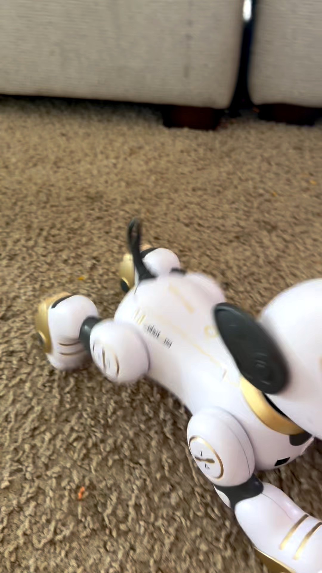 Robot dog for kids to play with :)

#LTKmomlife #LTKU #LTKKids