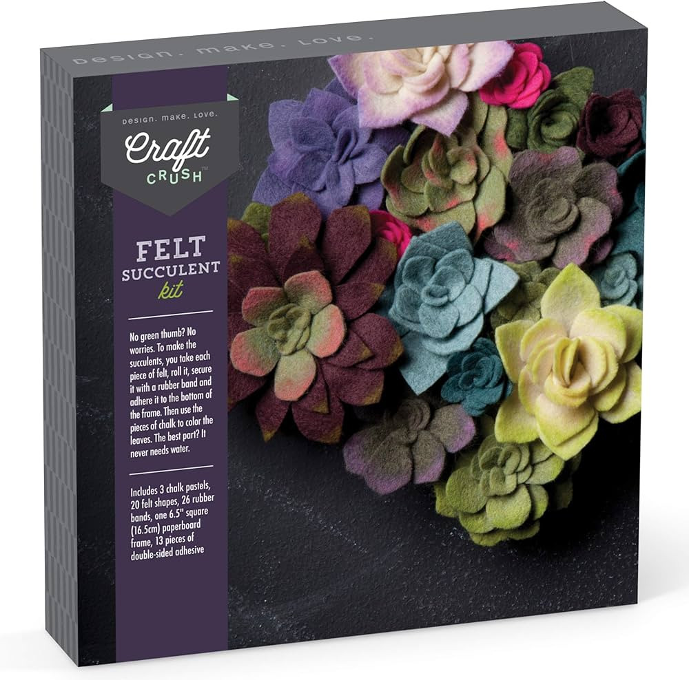 Craft Crush — Felt Succulents Craft Kit — Display Kit — Fun & Easy — Ages 13+, Small | Amazon (US)