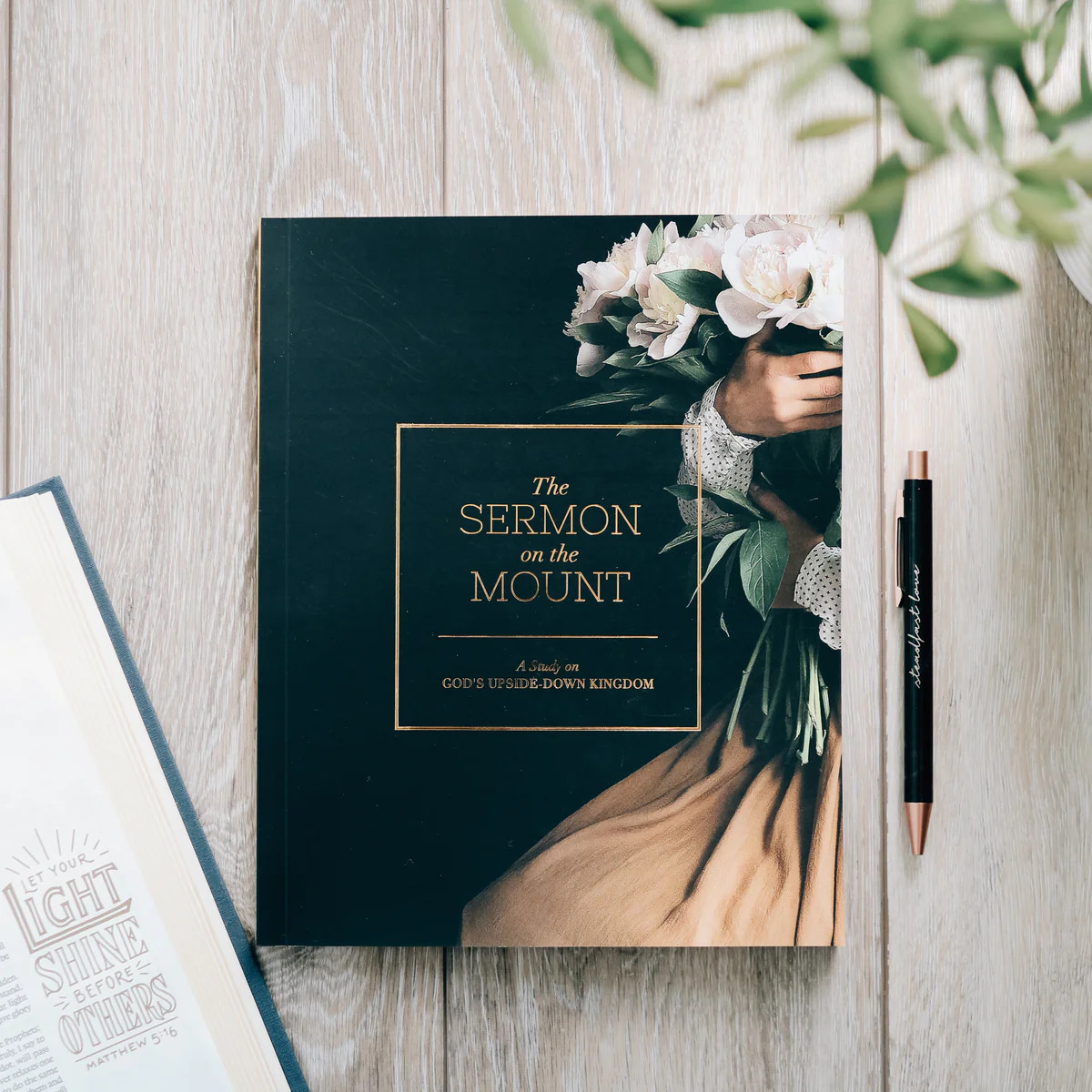 The Sermon on the Mount | Study | The Daily Grace Co.