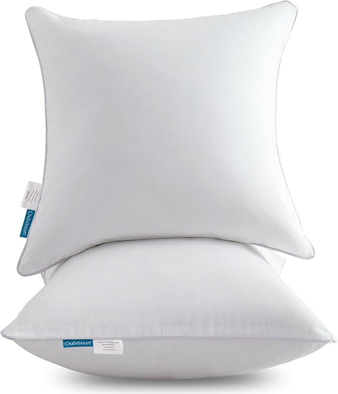 Oubonun 28 x 28 Pillow Inserts (Set of 2) - Euro Pillow Inserts with 100% Cotton Cover - 28 Inch ... | Amazon (US)