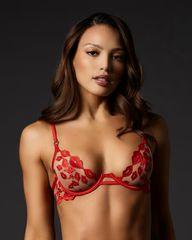 Marian Wired Bra Tomato Red/Sheer | Bluebella