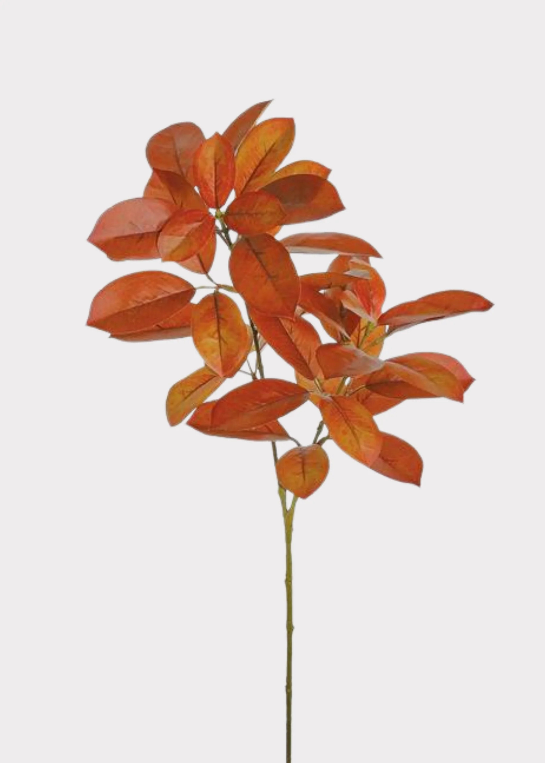 Burnt Orange Citrus Leaf Branch | Artificial Fall Foliage at Afloral | Afloral