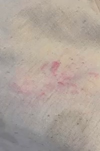 My kids got red lipstick on my couch and after washing the couch 2 times the stain still would not come out. I decided to give this stain remover a try and it worked! 🤯 This stuff is a game changer!! 

#LTKFindsUnder50 #LTKFamily #LTKHome