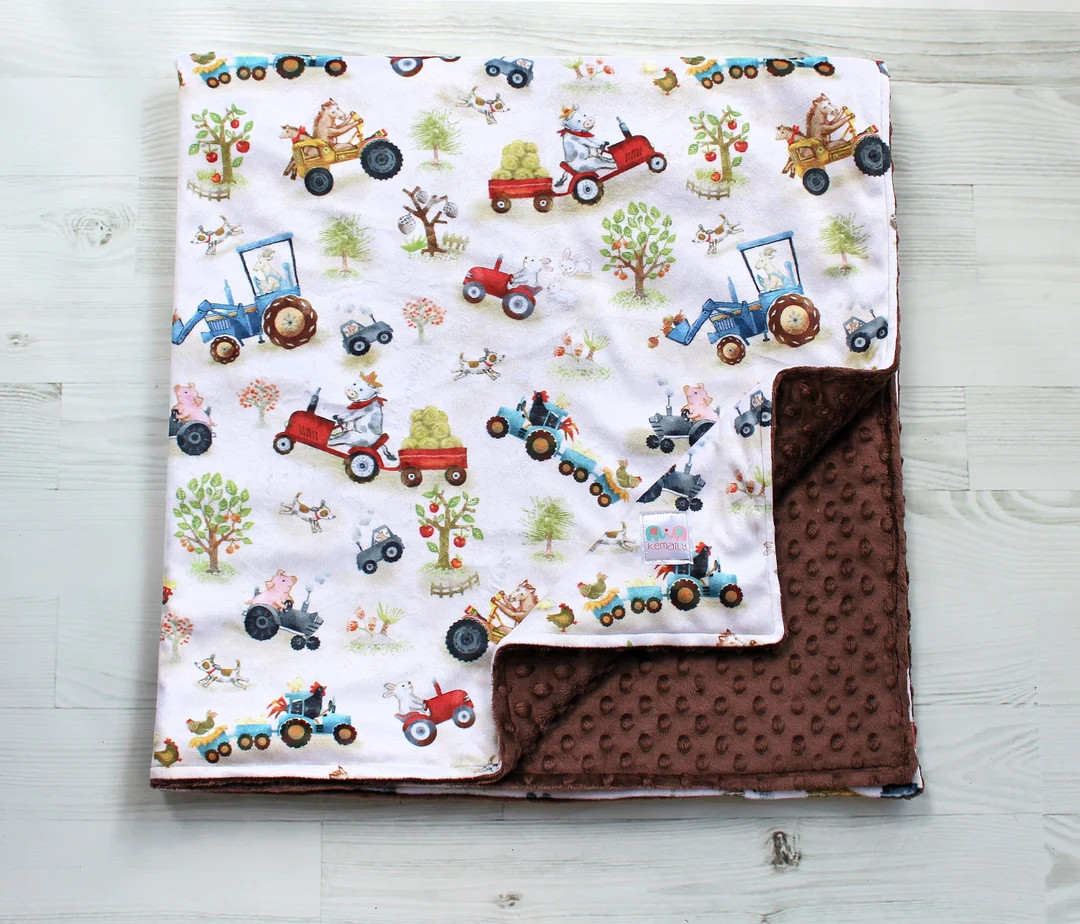 Funny Farm Friends Luxury Minky Baby Blanket, Personalized Baby Blanket, You Choose Minky Back, B... | Etsy (US)