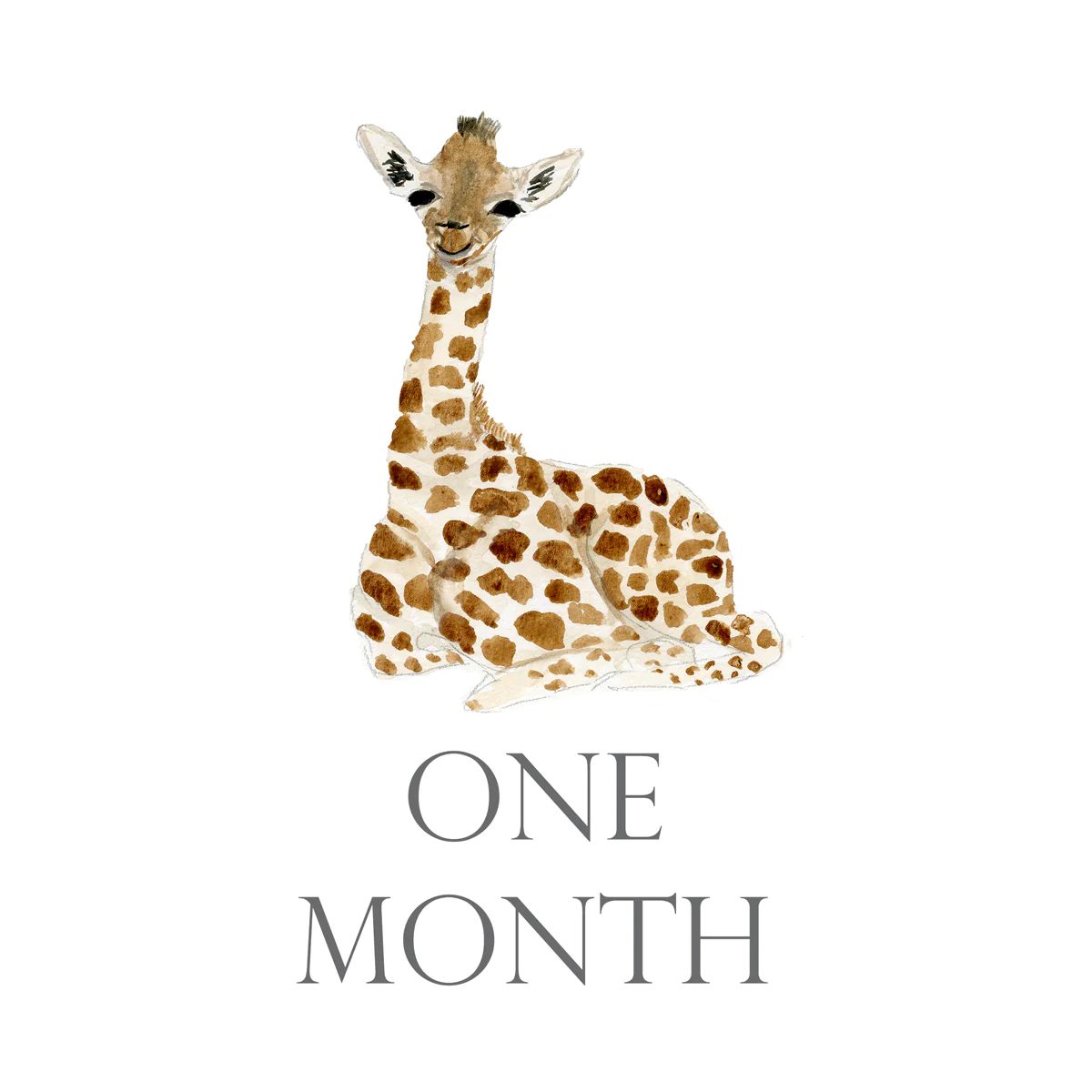Baby Month Cards | White Elephant Designs
