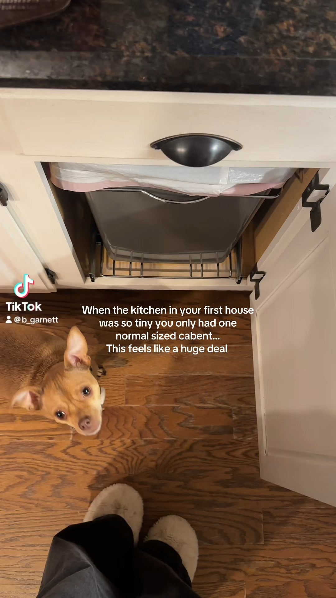 So excited to have a normal sized kitchen & trash & recycling conveniently tucked away 

Kitchen | trash can | recycling | cabinet mounted trashcan | kitchen cabinet 

#LTKHome #LTKselfcare #LTKdayinmylife