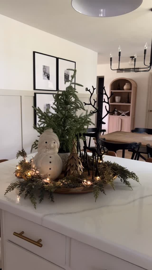 These cedar stems from Amazon are the best🌲

I ordered these a few times last year and used them in vases and centerpieces, they are a fav of mine!