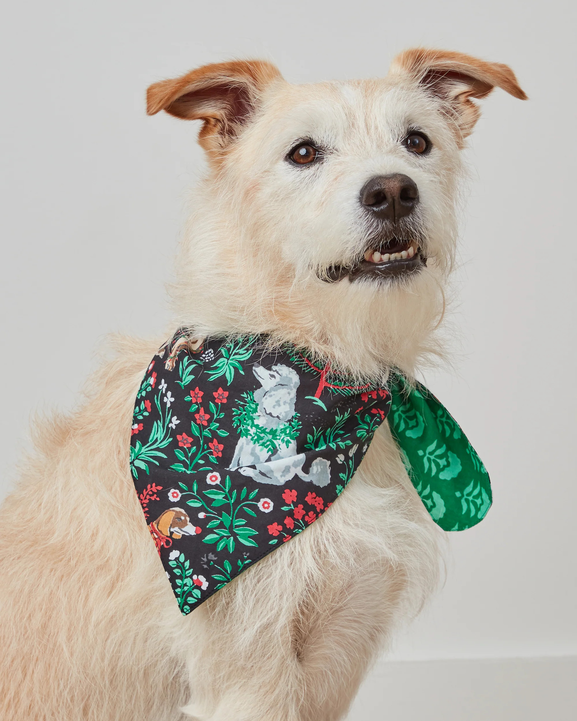 Happy Howlidays - Pet Bandana - Ink | Printfresh