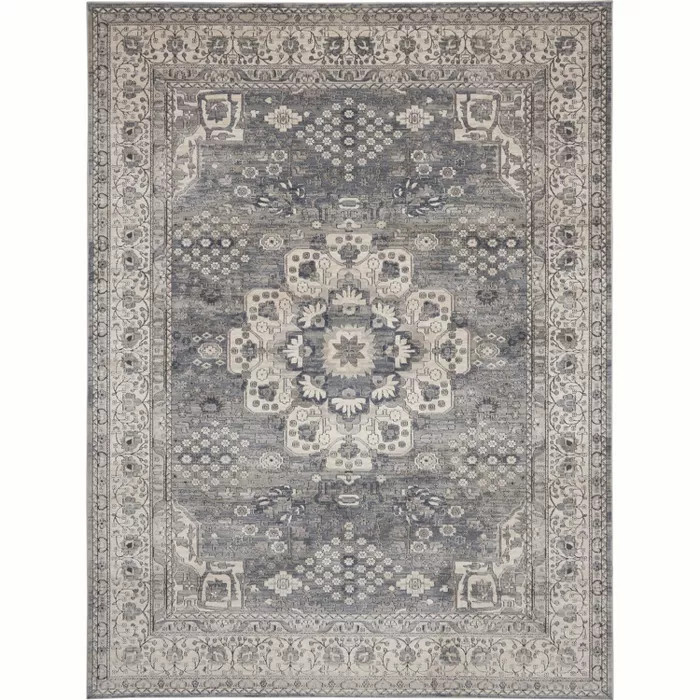 Nourison Concerto  CNC07 Area Rug | Target
