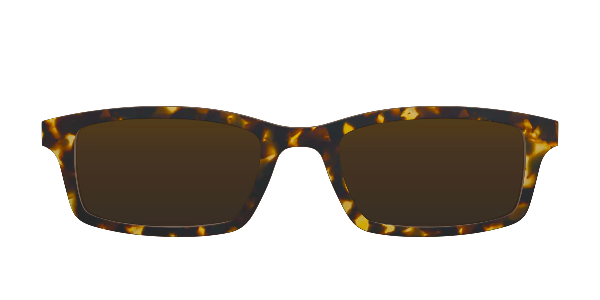 The Polarized Tortoise Sun Top | Pair Eyewear
