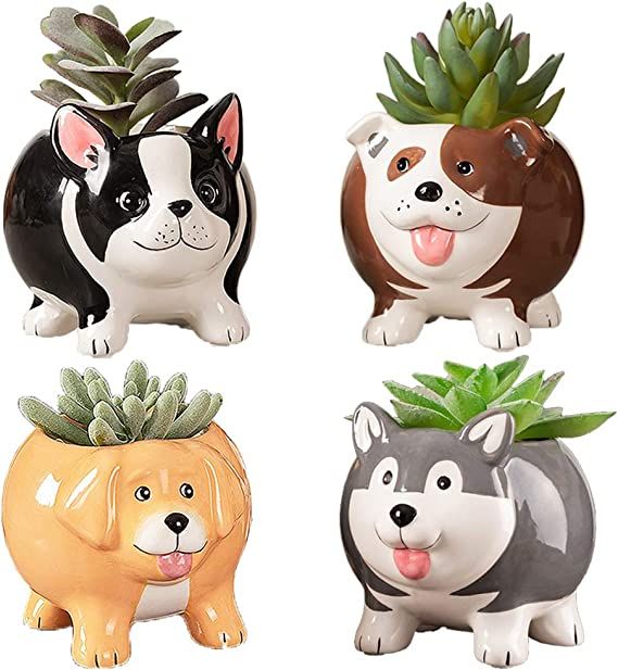 BUYMAX Animal Succulent Plant Pots, Mini Doggy Shape Succulent Planter Handmade Ceramic Plant Pot... | Amazon (US)