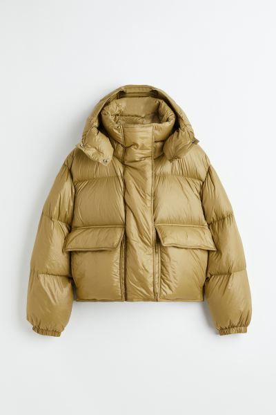 Hooded Down Jacket | H&M (US + CA)
