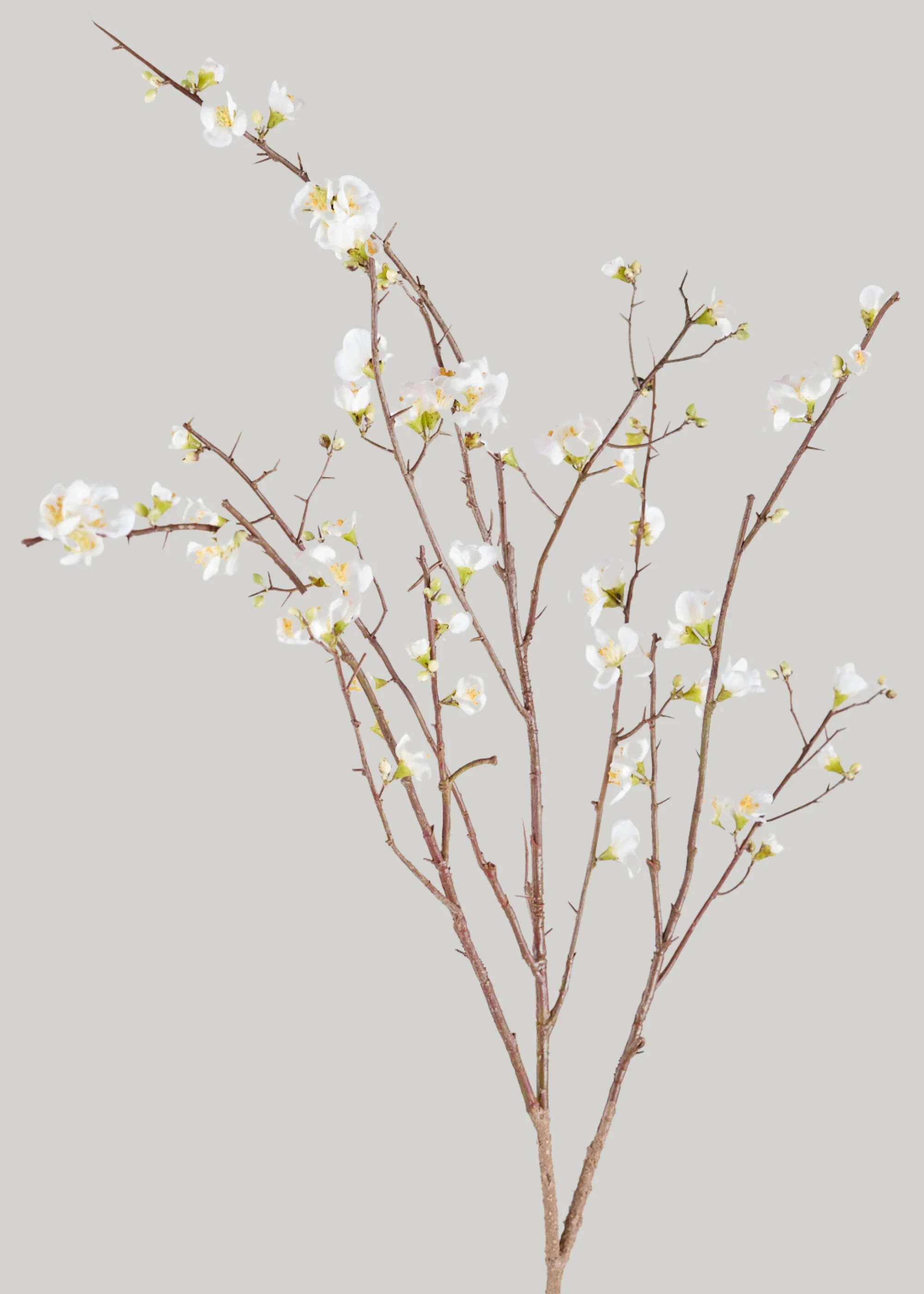 Cream Blossom Branch | Faux Branches | Afloral.com | Afloral