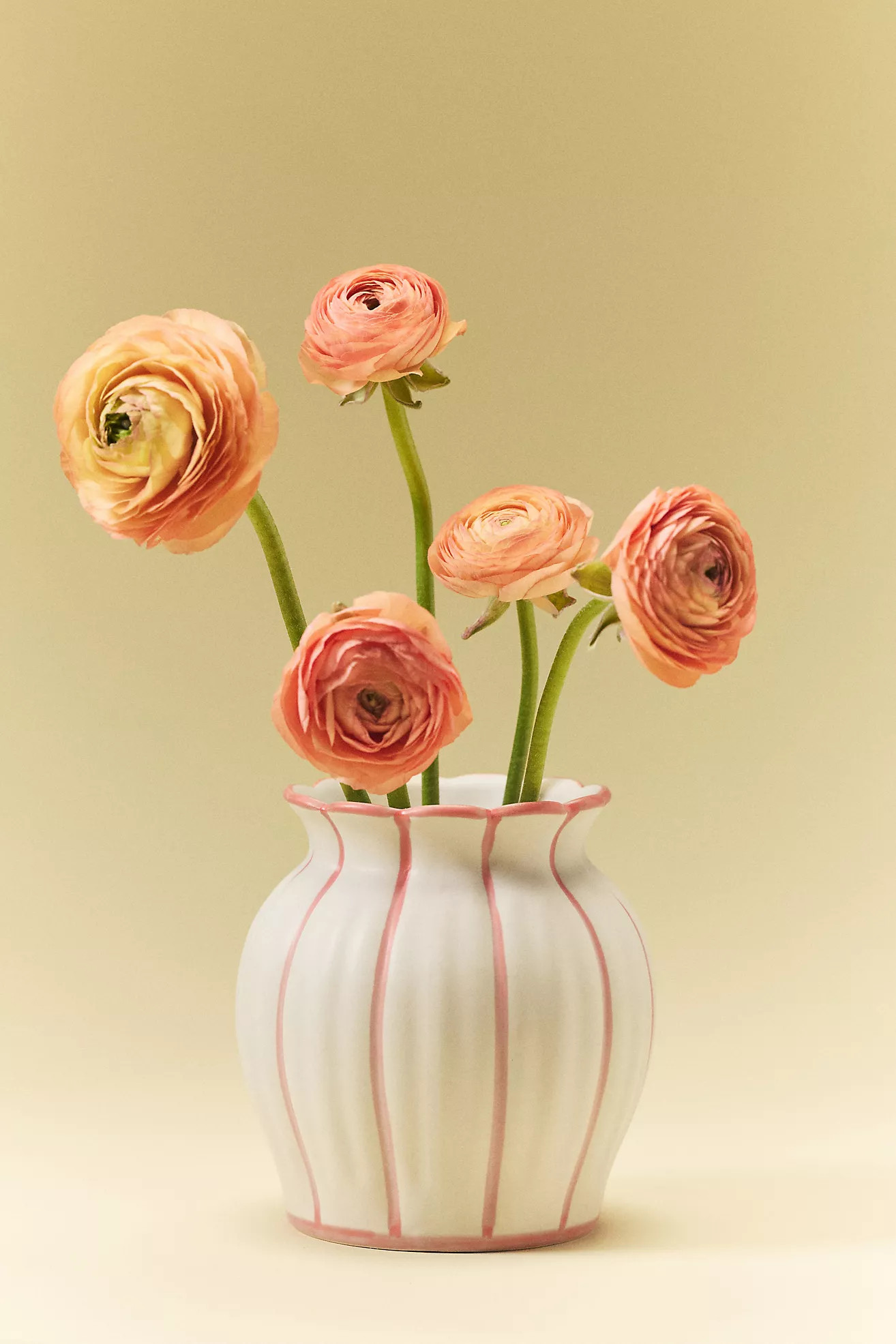 Emma Clay Vase | Anthropologie (US)