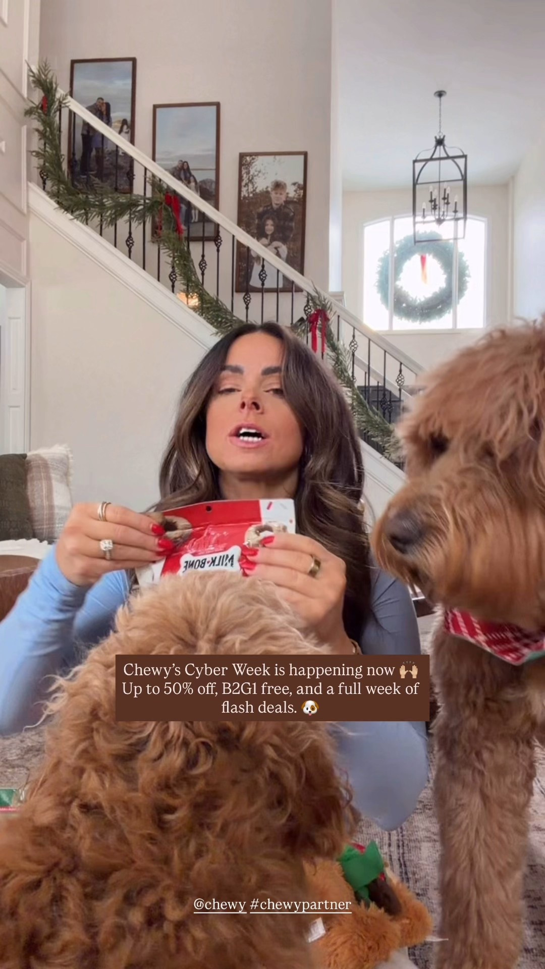 Shop cheese holiday collection now . Up to 50% off select toys, beds, and essentials + Buy 2, Get the 3rd Free. @chew #chewypartner 