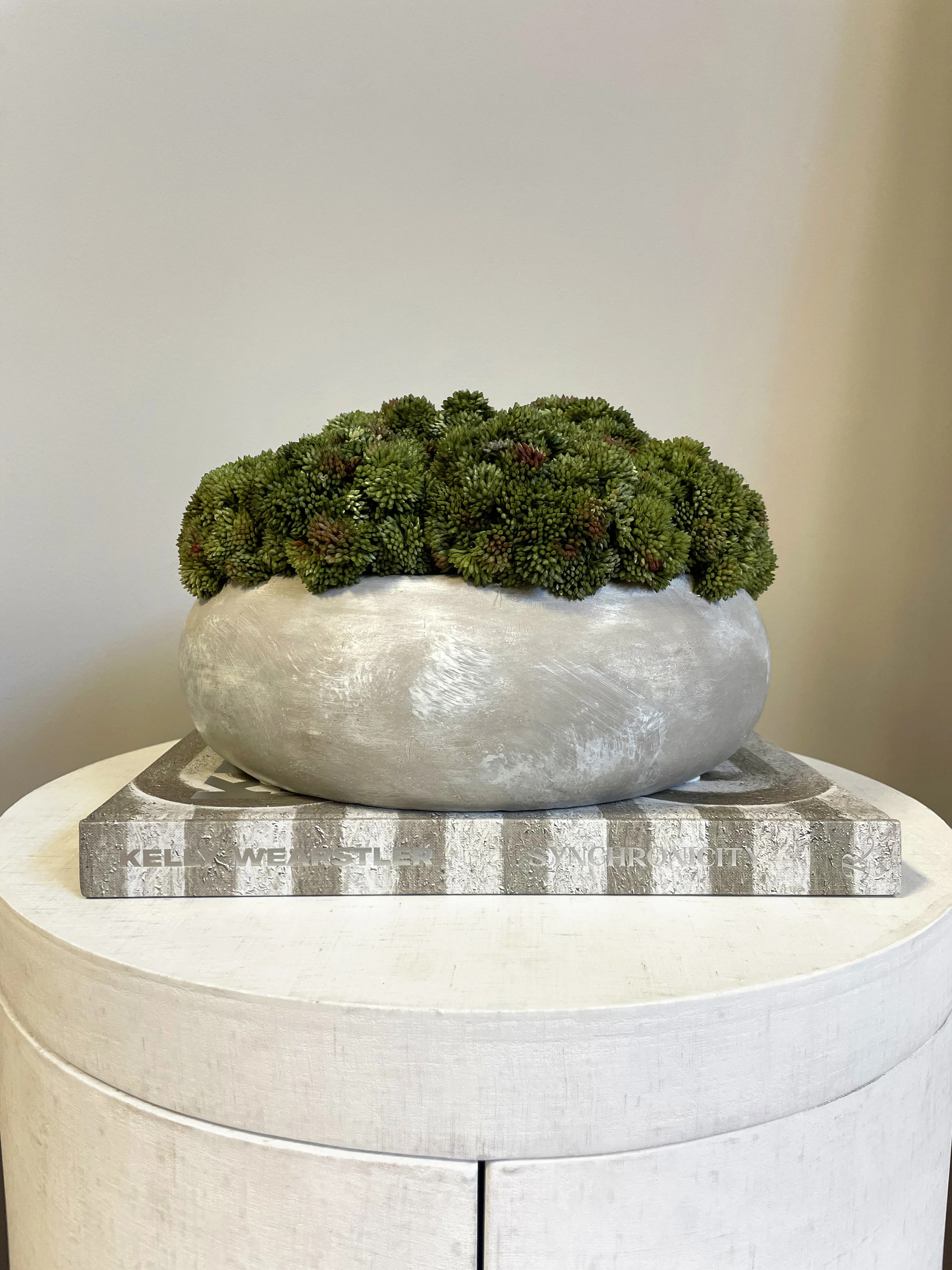 Sedum Arranged in a Stone Planter | Wayfair North America
