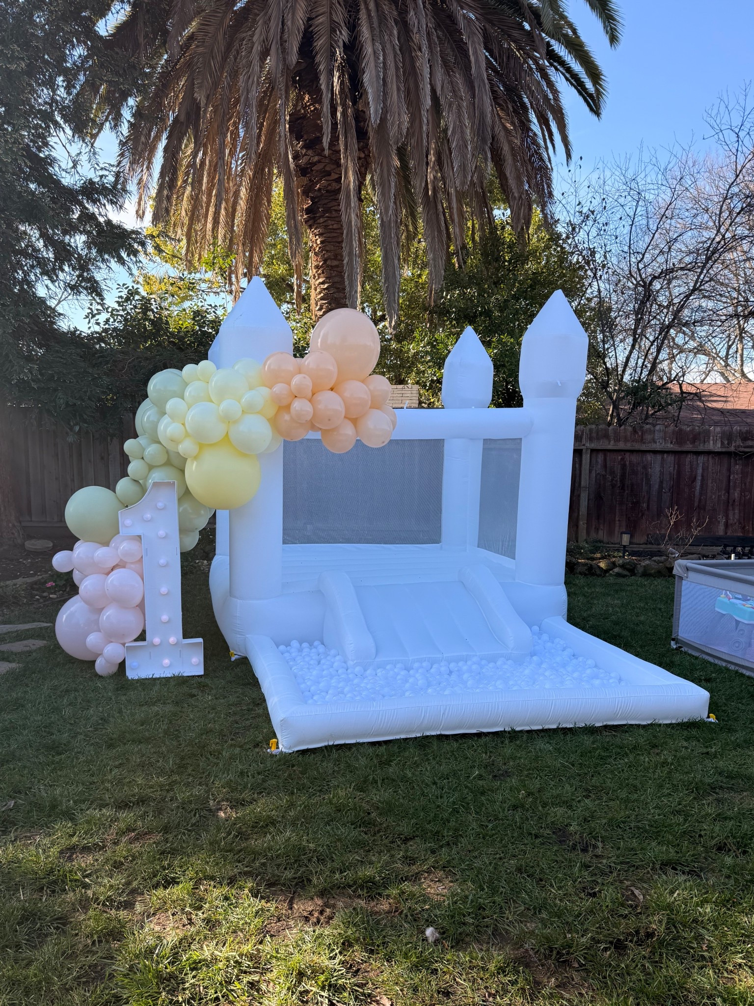 First Birthday Party 
Bounce house 
One Silly Goose


#LTKKids #LTKBaby #LTKmomlife