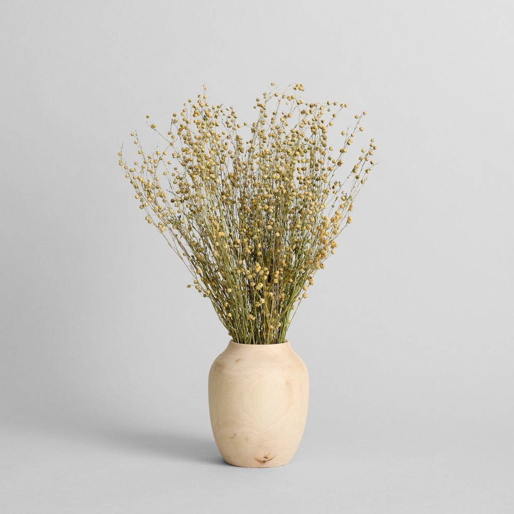 Dried Flax | Bloomist