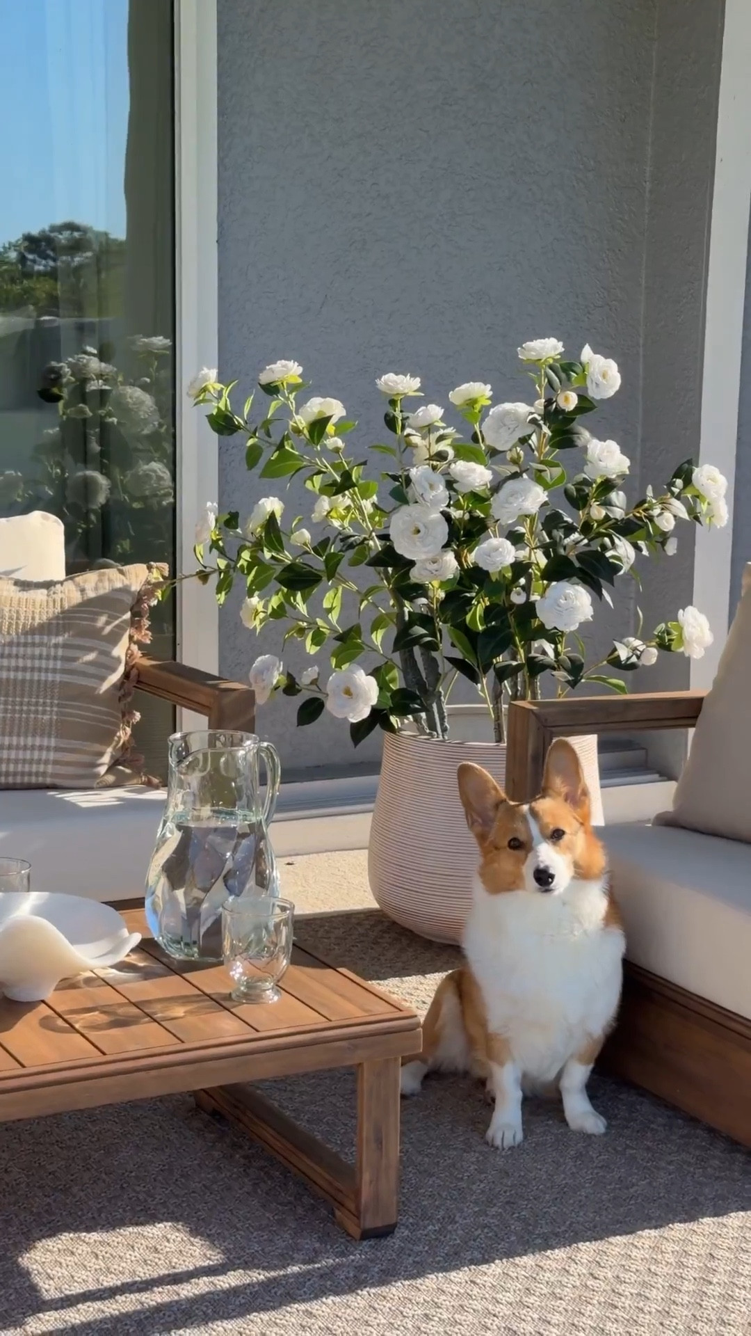 If your patio feels unfinished… start here!

Joss&Main has so many good outdoor pieces right now and I only needed a few to completely transform this space.

Think cozy seating, a functional coffee table setup, and details that pull it all together ✨

#JossandMainPartner #JossandMainEdit
