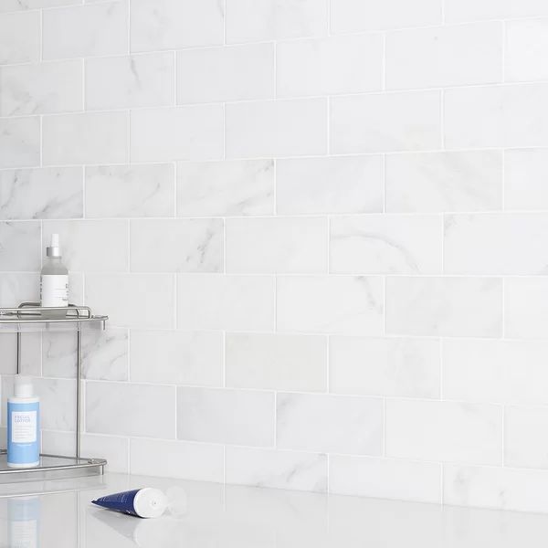 Oriental 3" x 6" Marble Subway Tile in White | Wayfair North America