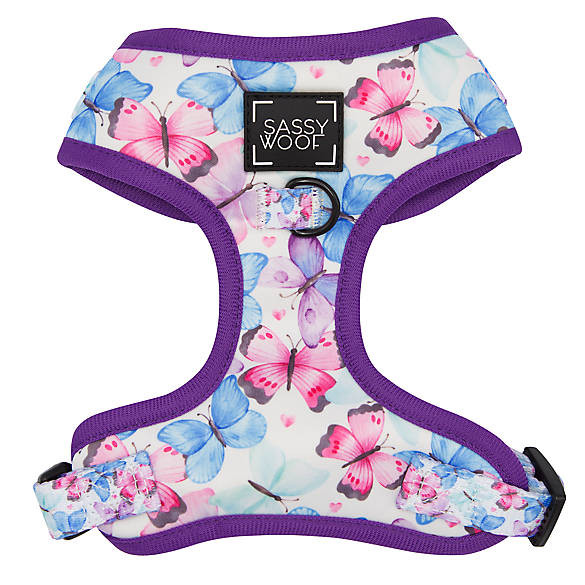 Sassy Woof Social Butterfly Dog Harness | PetSmart