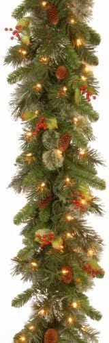National Tree Company Pre-Lit Artificial Christmas Garland, Green, Wintry Pine, White Lights, Dec... | Amazon (US)
