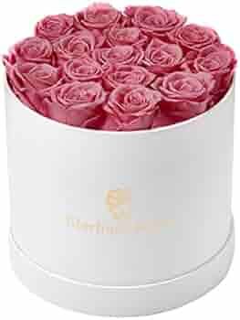 Eterfield Preserved Roses That Last a Year Eternal Rose in a Box Real Rose Without Fragrance Gift... | Amazon (US)