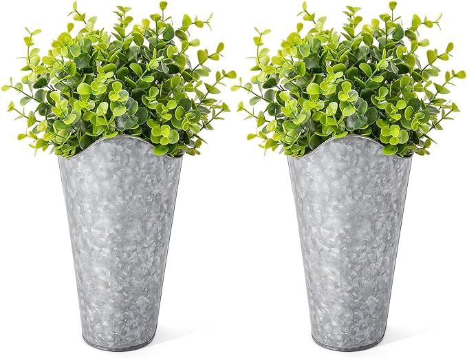 Dahey 2 Pack Galvanized Metal Wall Planter with Artificial Eucalyptus Farmhouse Style Hanging Wall V | Amazon (US)
