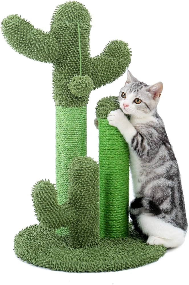 PAWZ Road Cat Scratching Post Cactus Cat Scratcher Featuring with 3 Scratching Posts and Dangling... | Amazon (US)