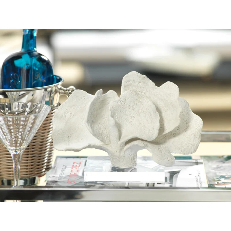 Birch Lane™ Albie 7-inch Tall Coral Sculpture & Reviews | Wayfair | Wayfair North America