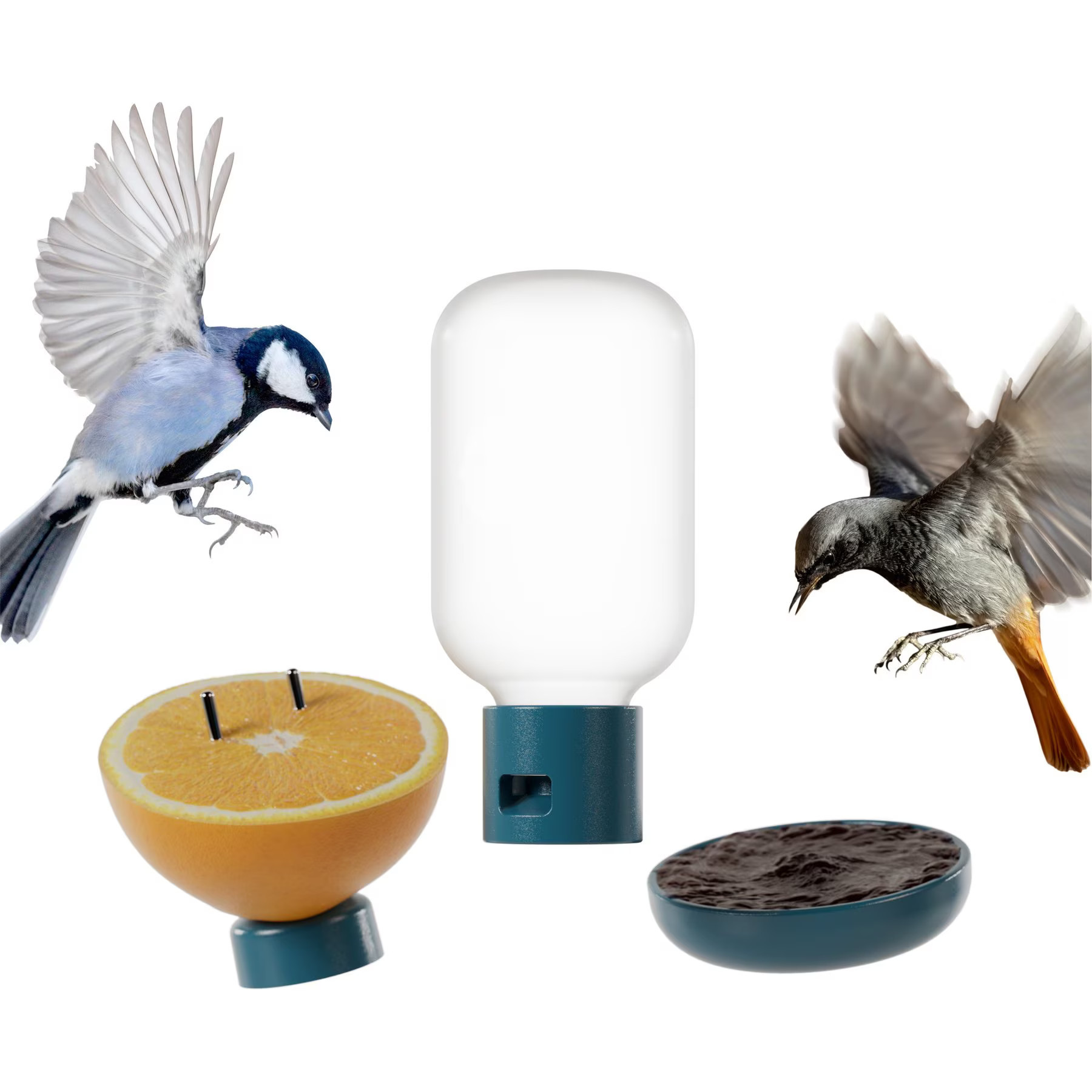 Bird Buddy 3-in-1 Nutrition Set Wild Bird Feeder Accessory | Chewy