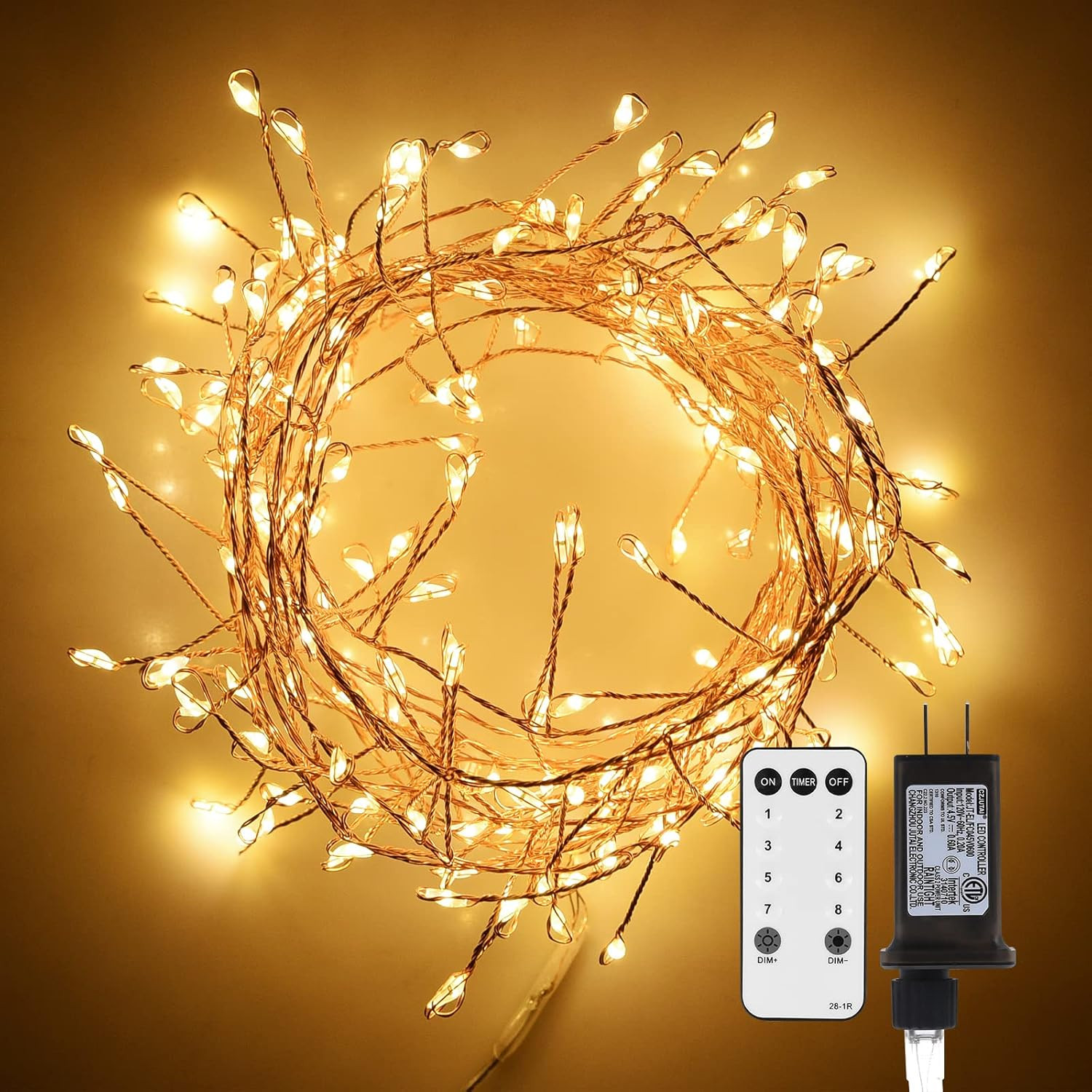 Dailyart 200 LED Warm Christmas Fairy Lights Plug in with Remote & Timer | Amazon (US)