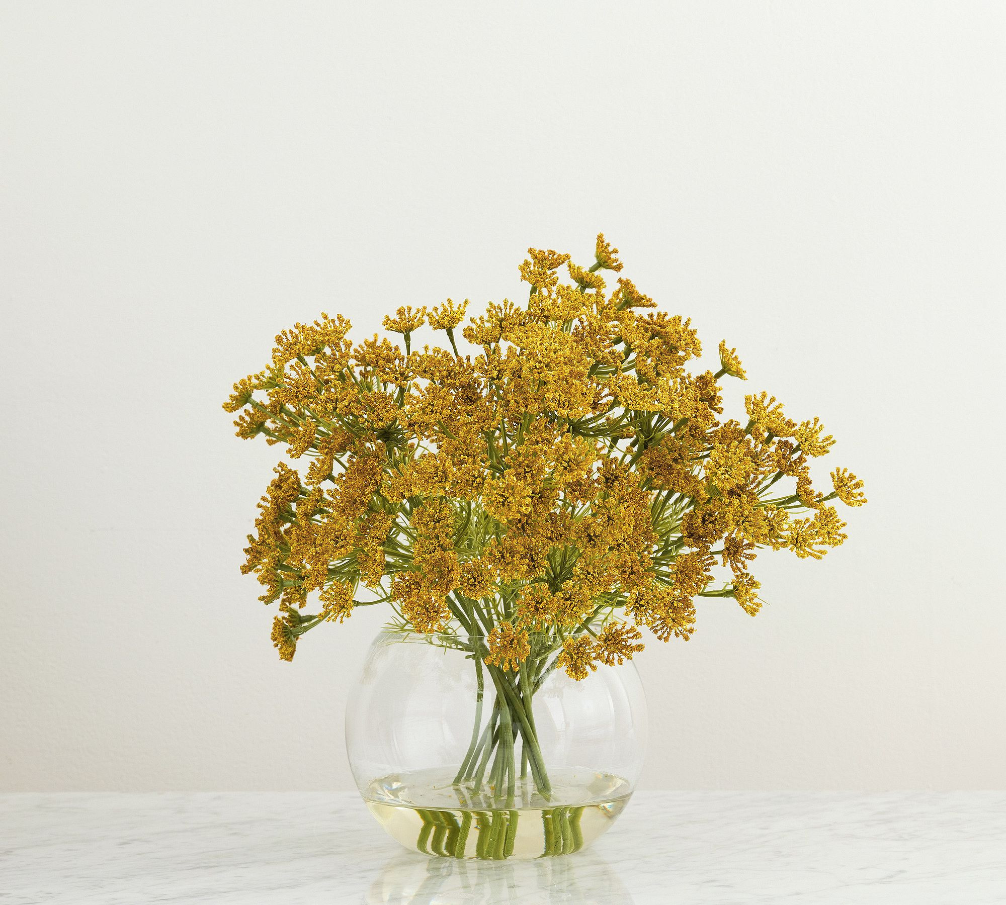Faux Composed Queen Anne's Lace Arrangement | Pottery Barn (US)