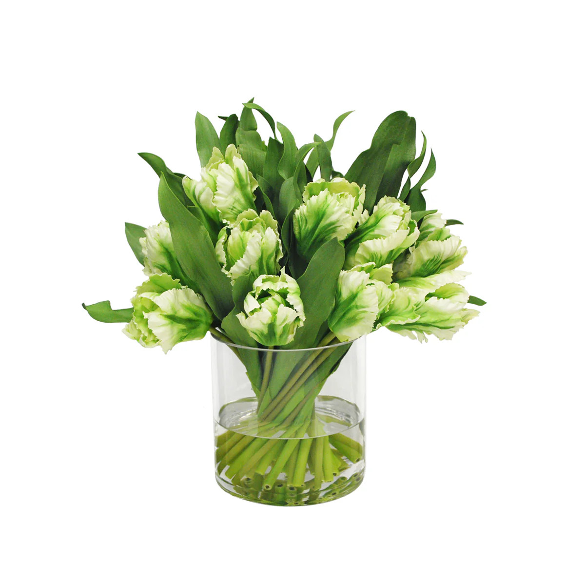 Green Tulip Arrangement | Tuesday Made