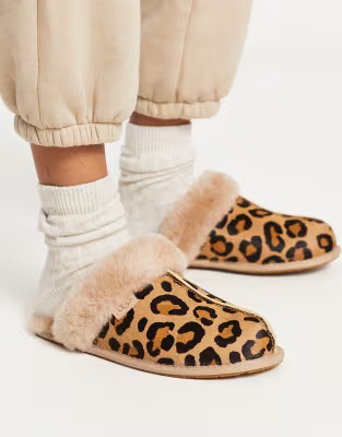 UGG Scuffette II slippers in leopard print  | ASOS | ASOS (Global)