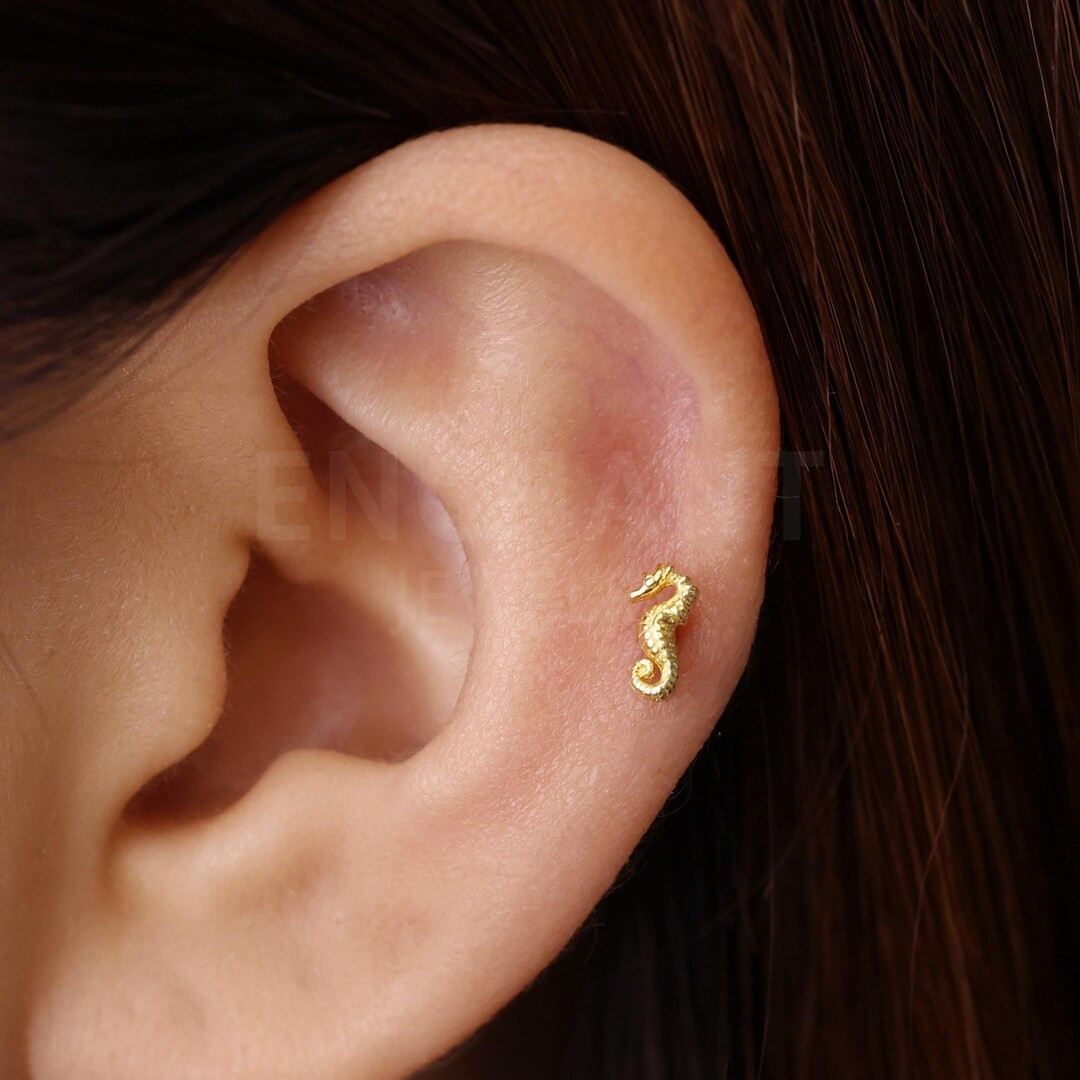 18G/16G Sea Horse Labret Cartilage Stud • Tragus Stud • Conch Earring • Tragus • Helix ... | Etsy (US)