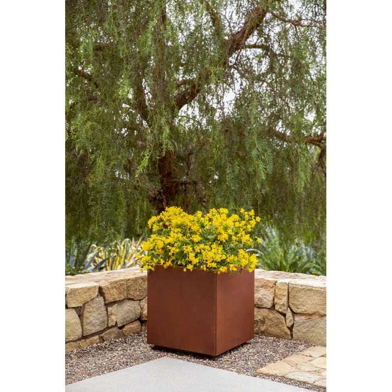Corten Steel Series Cube Planter Box | Wayfair North America