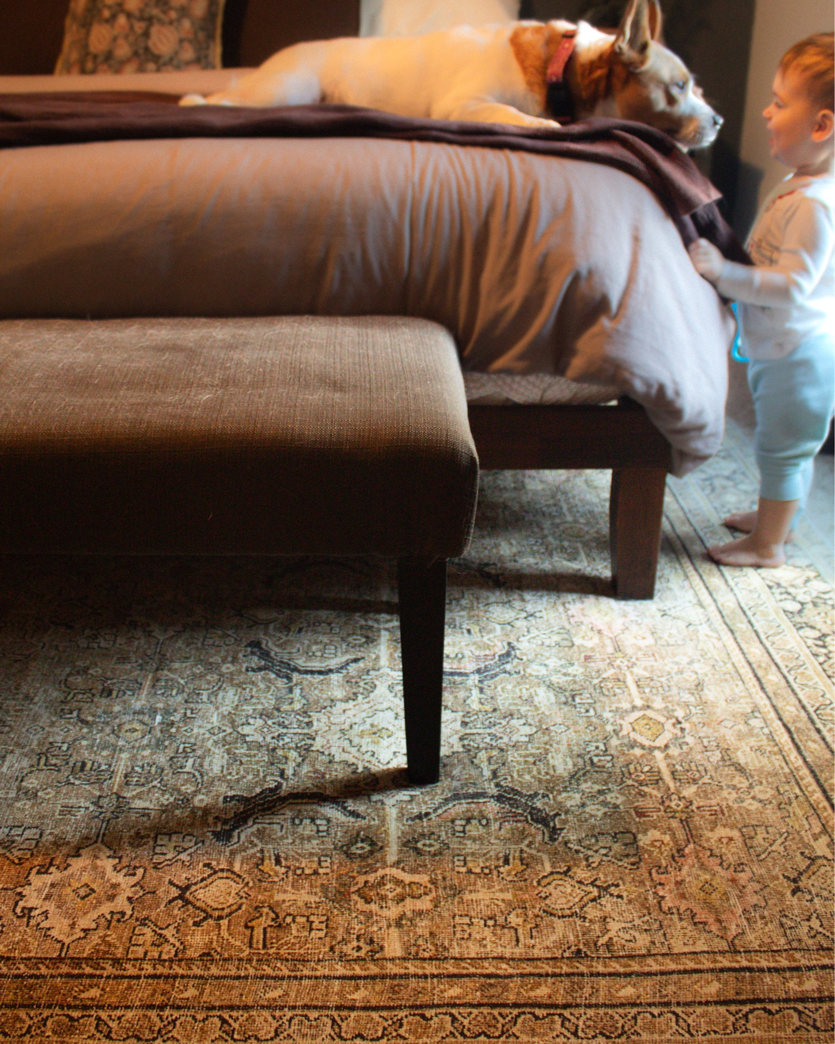 My bedroom rug is on sale! I love that it’s a dark, moody, and traditional pattern without being *too* dark. And it hides white dog hair surprisingly well! Something that’s pretty important in my house. 

My solid wood bed frame is also on sale! There’s no headboard (leaving room for a DIY), so it’s just a great basic platform bed that comes in a few different colors and isn’t too close to the ground 

Bedroom decor. Green bedroom. Traditional moody bedroom 

#LTKfamily #LTKsalealert #LTKhome