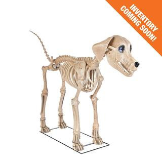 Home Accents Holiday12 ft.​ Grave & Bones Giant-​Sized Skelly with LifeEyes™ LCD Eyes H5 | The Home Depot